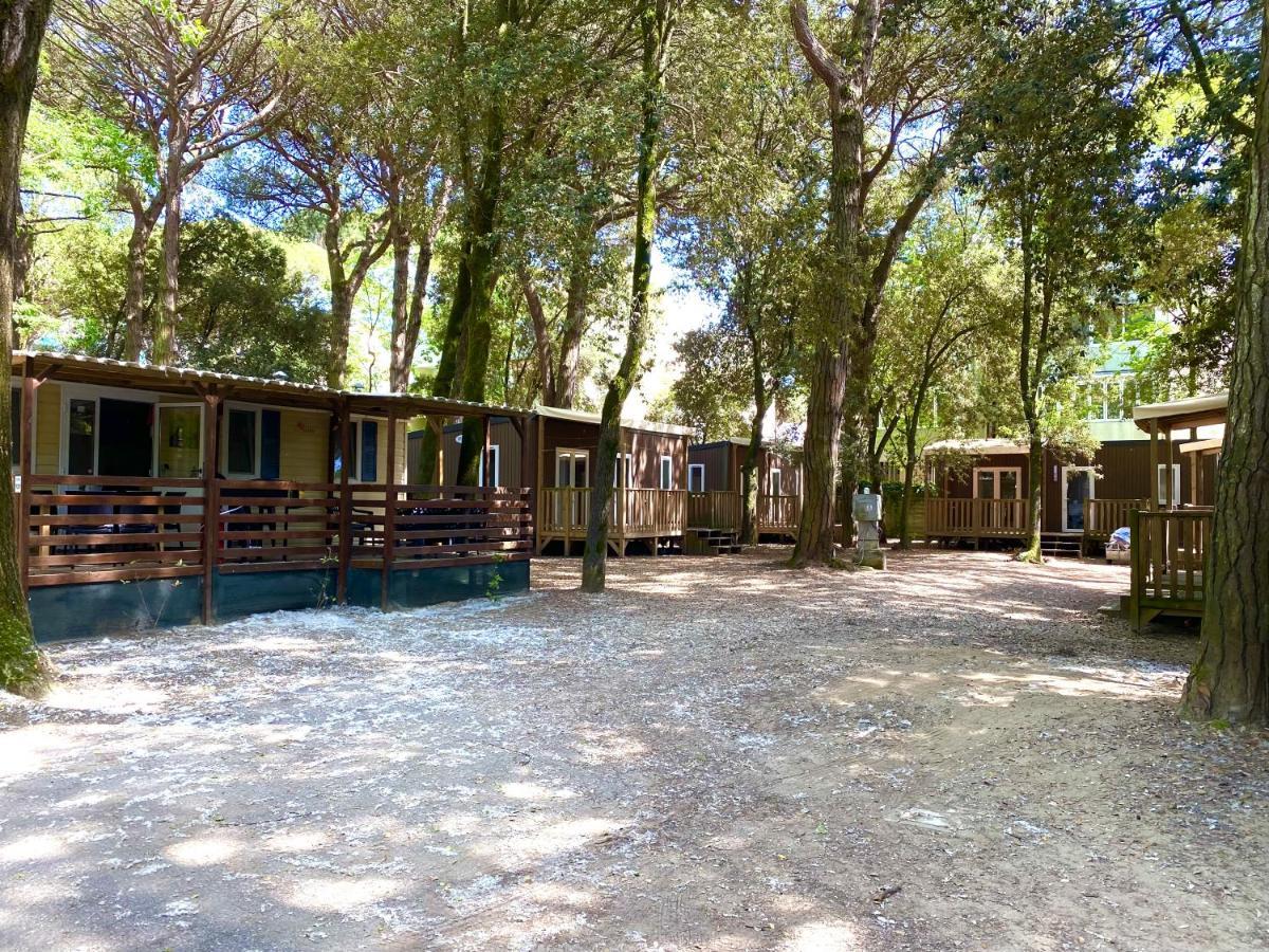 Dena Chalets - Lido Di Spina At The Beach Zewnętrze zdjęcie