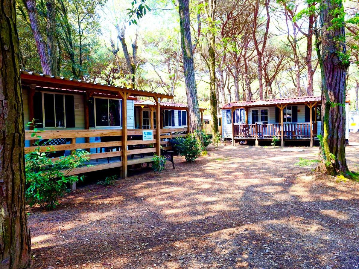 Dena Chalets - Lido Di Spina At The Beach Zewnętrze zdjęcie